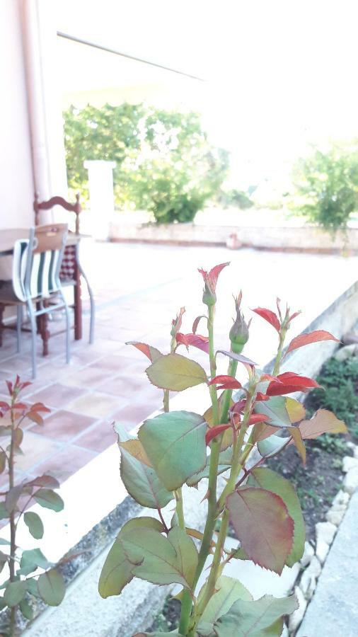 Country House Kefalonia Dhorizata Bagian luar foto