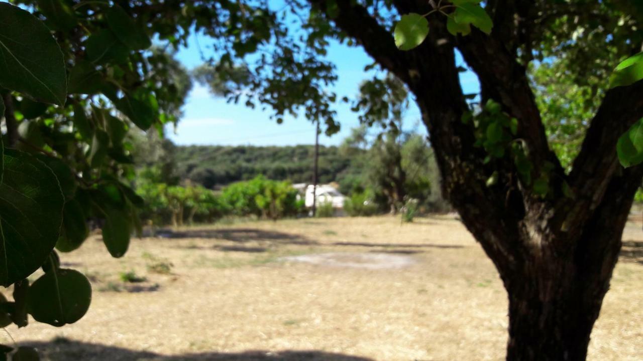 Country House Kefalonia Dhorizata Bagian luar foto